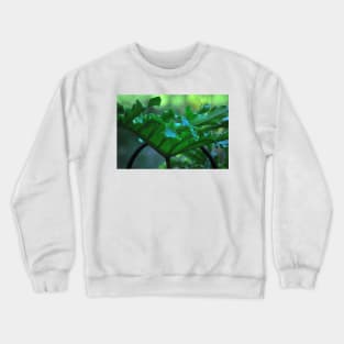 Big Leafy Leaf Crewneck Sweatshirt